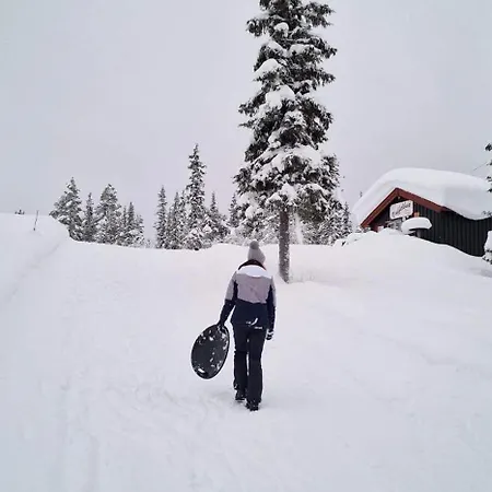 Spacious Retreat With Sauna And Parking Apartment