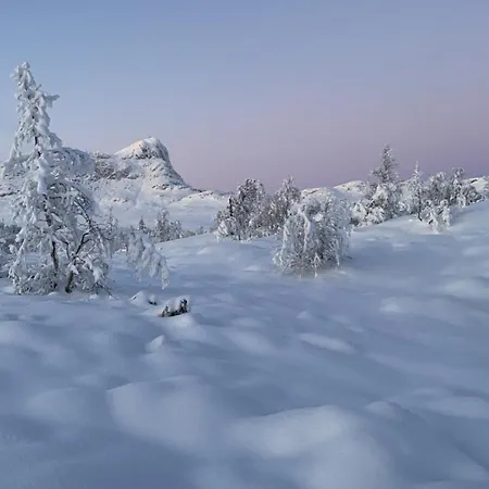 Apartment Spacious Retreat With Sauna And Parking